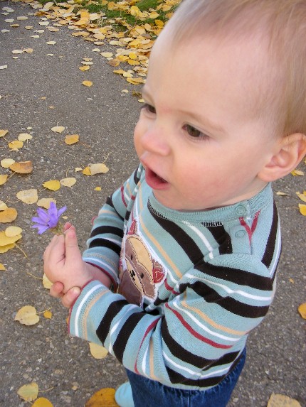 10.flower sniffing