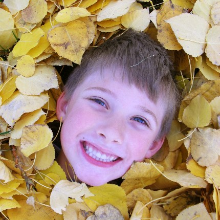 2.burried in leaves