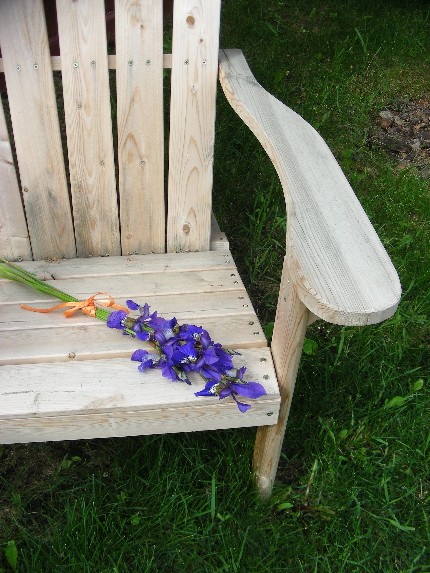 Irises on Chair