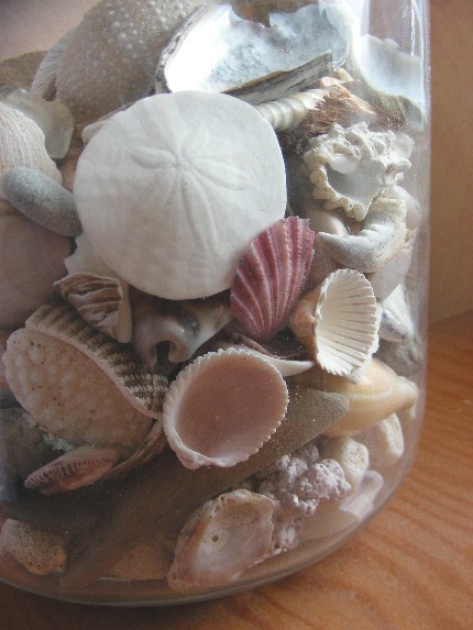 Jar Of Shells