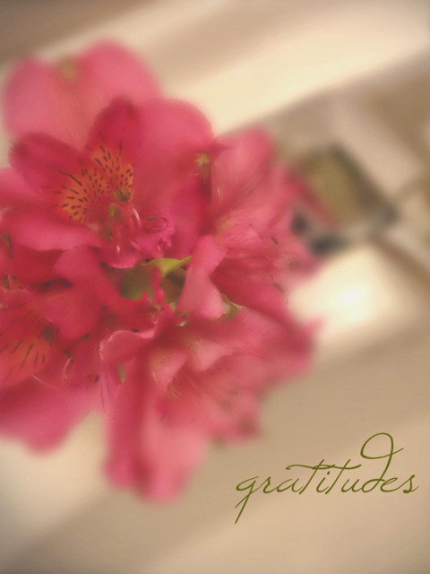 Gratitude Flowers Thumbnail