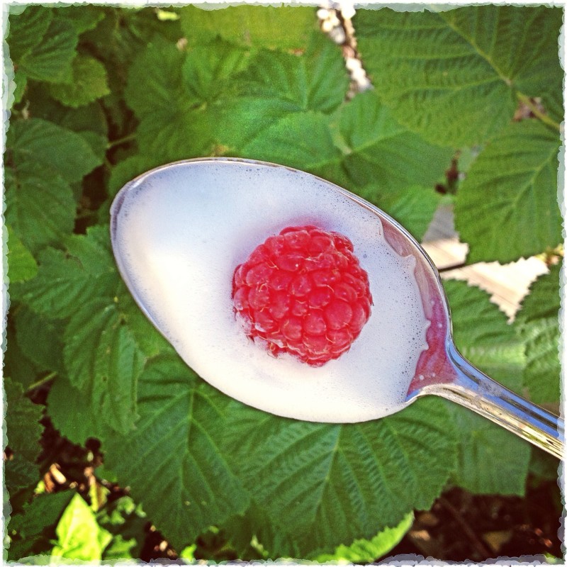 Raspberry In Foam