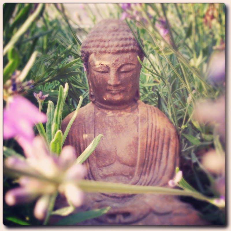 Budha In The Garden