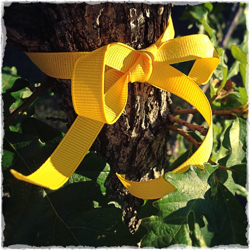 Yellow Ribbon Oak