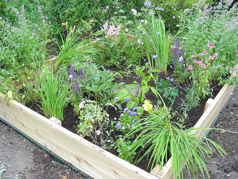 First Garden Bed