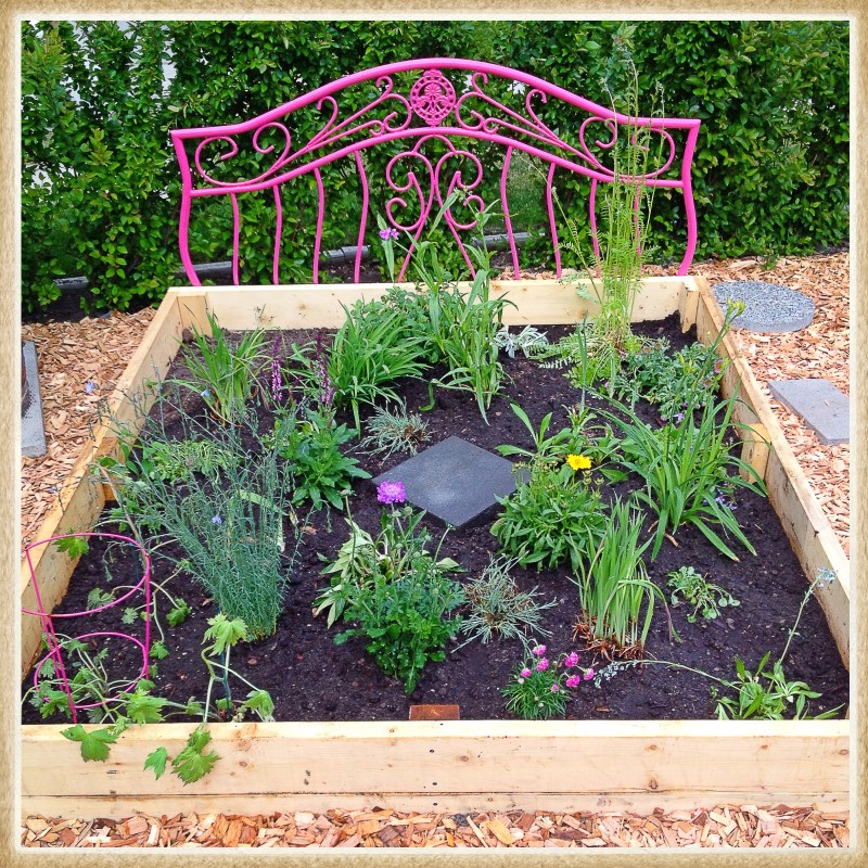 Second Flower Bed in Pink