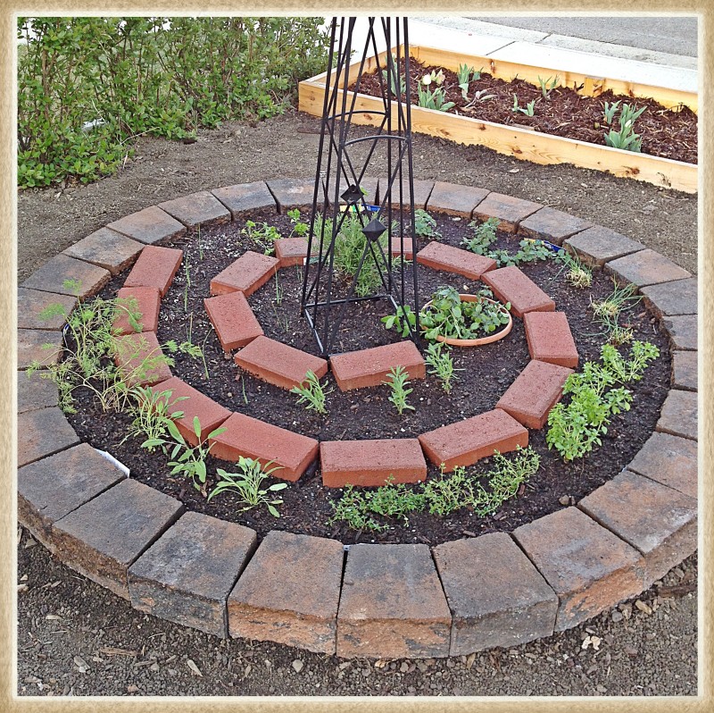 Herb Spiral And Bulb Bed