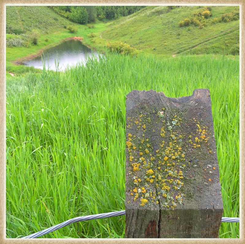 Porcupine Valley Entrance