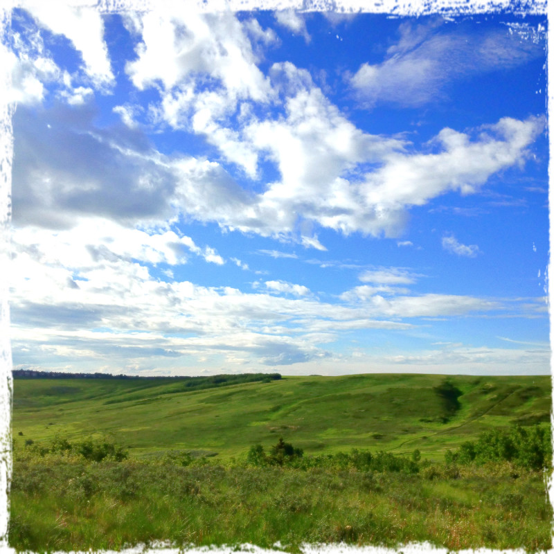 Nose Hill