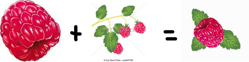 Raspberry Clip Art