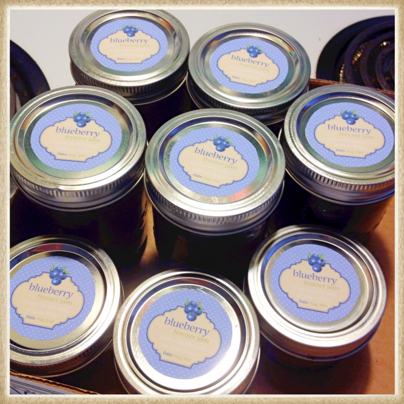 Blueberry Freezer Jam