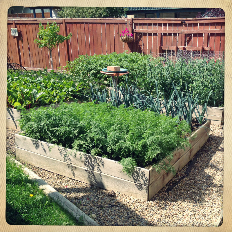 The Garden, Aug 2014