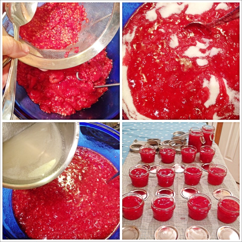 Making Raspberry Freezer Jam