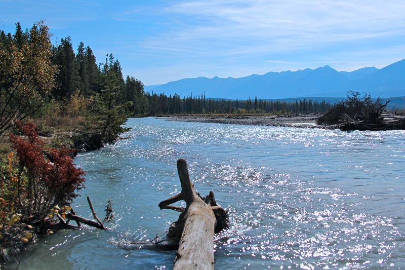 Blaeberry River at Quantum