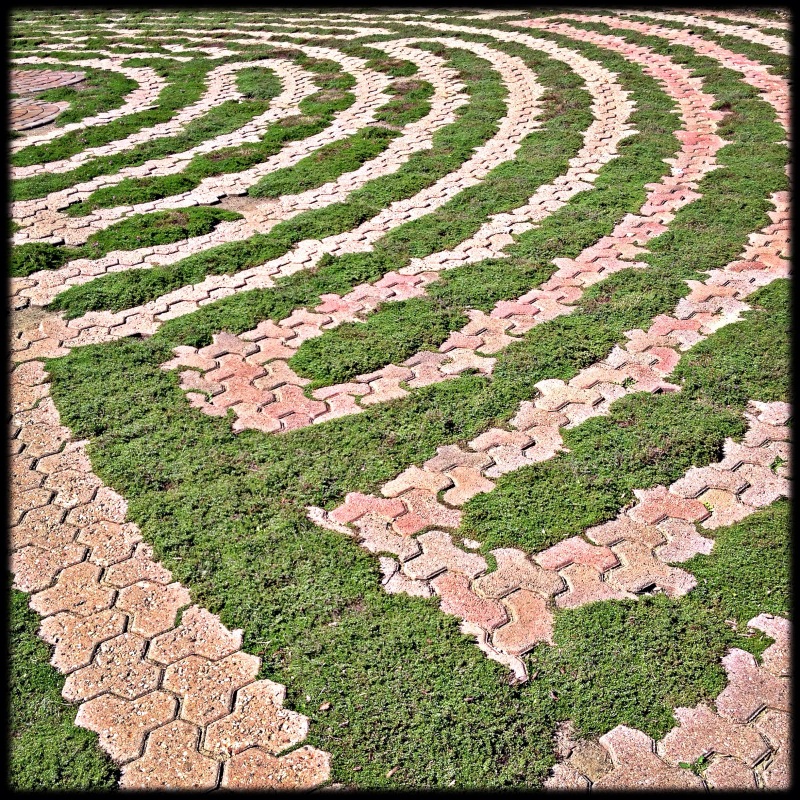 Lines at the Labyrinth