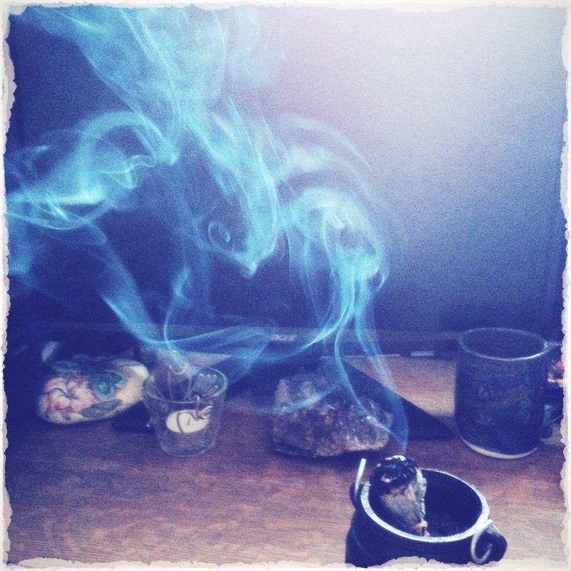 Bird in the Smoke