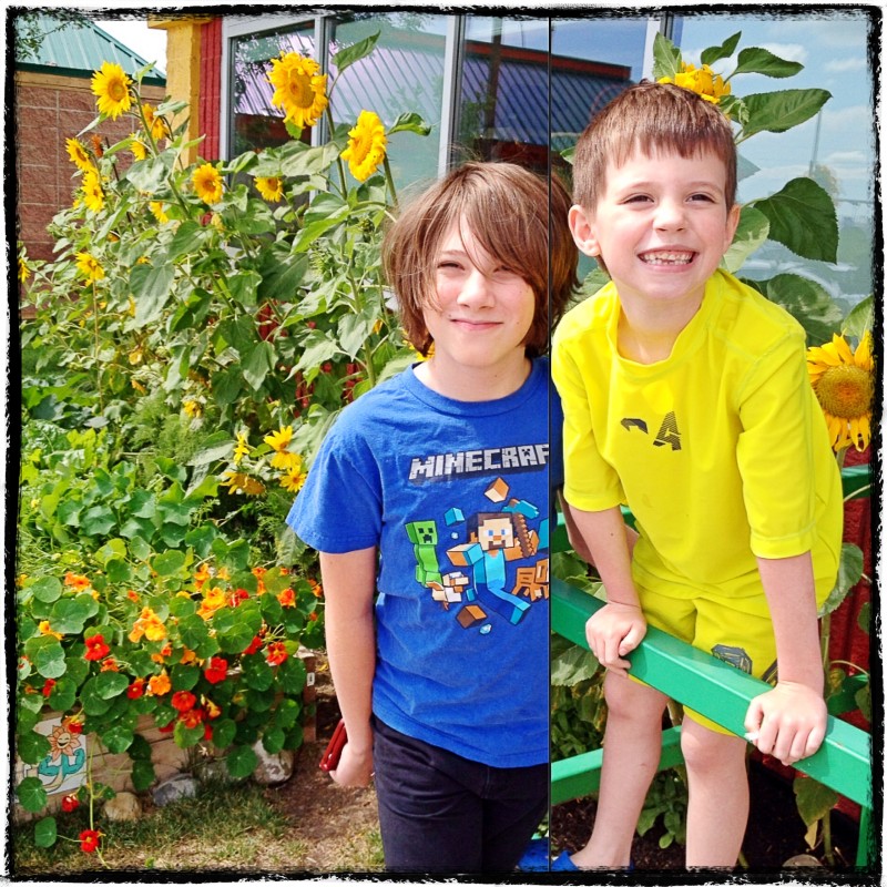 The Boys with Sunflowers