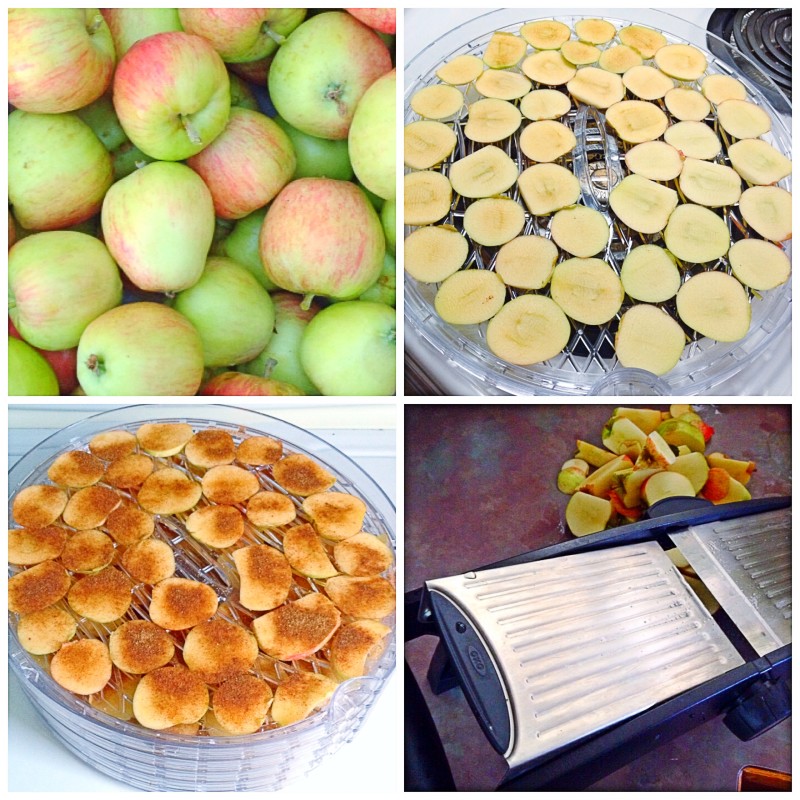 Making Apple Chips