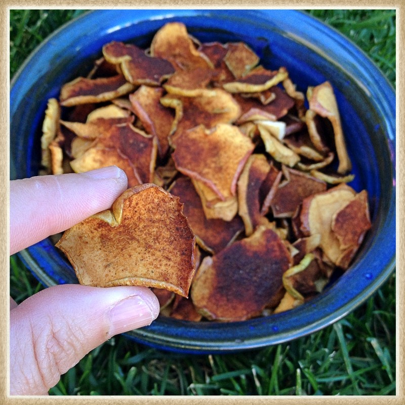 Finished Apple Cinnamon Sugar Chips