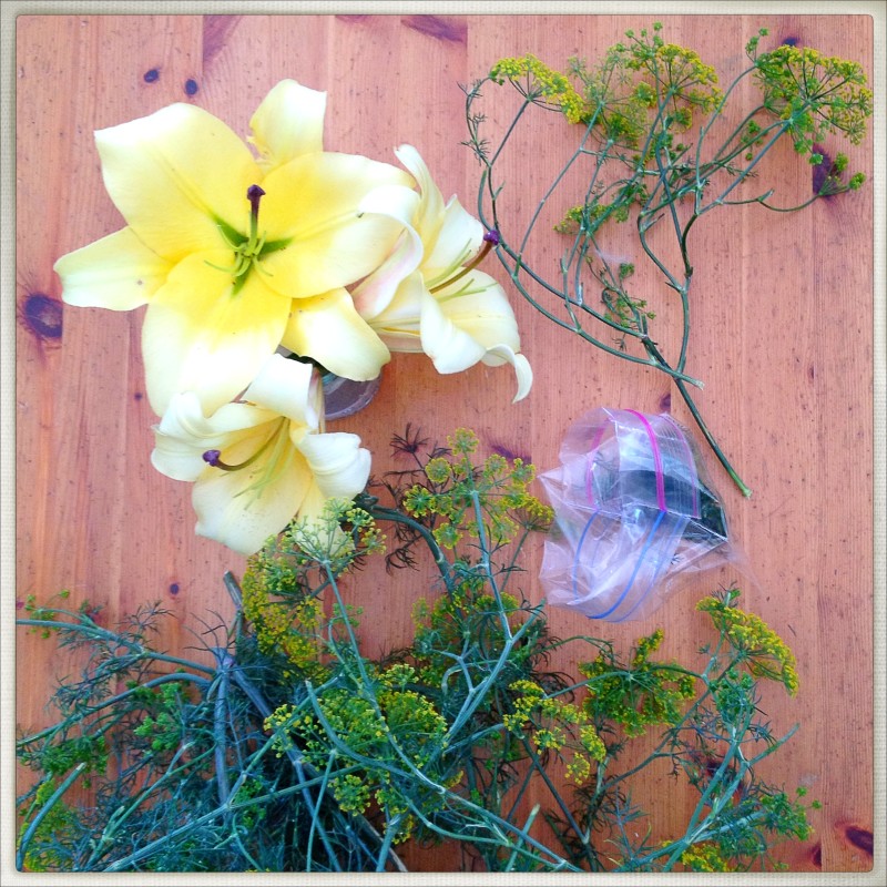 Dill and Lilies