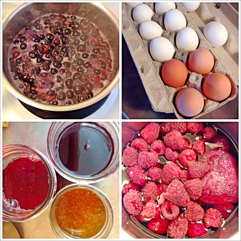 Natural Egg Dye Experimenting