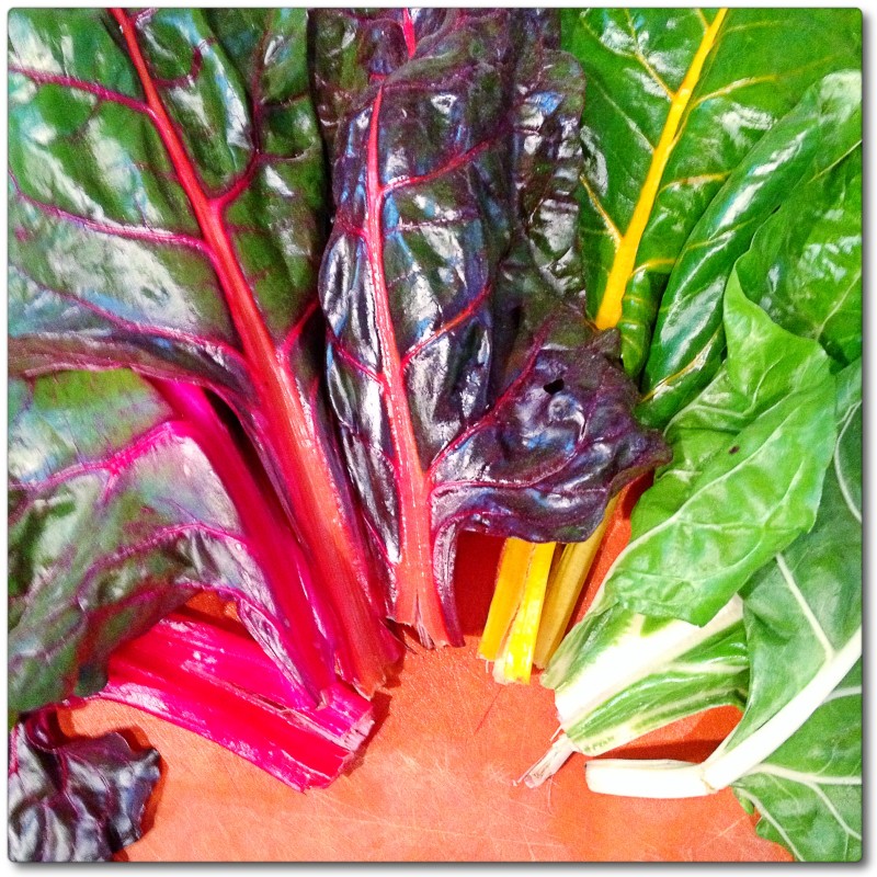 Rainbow Chard 2015