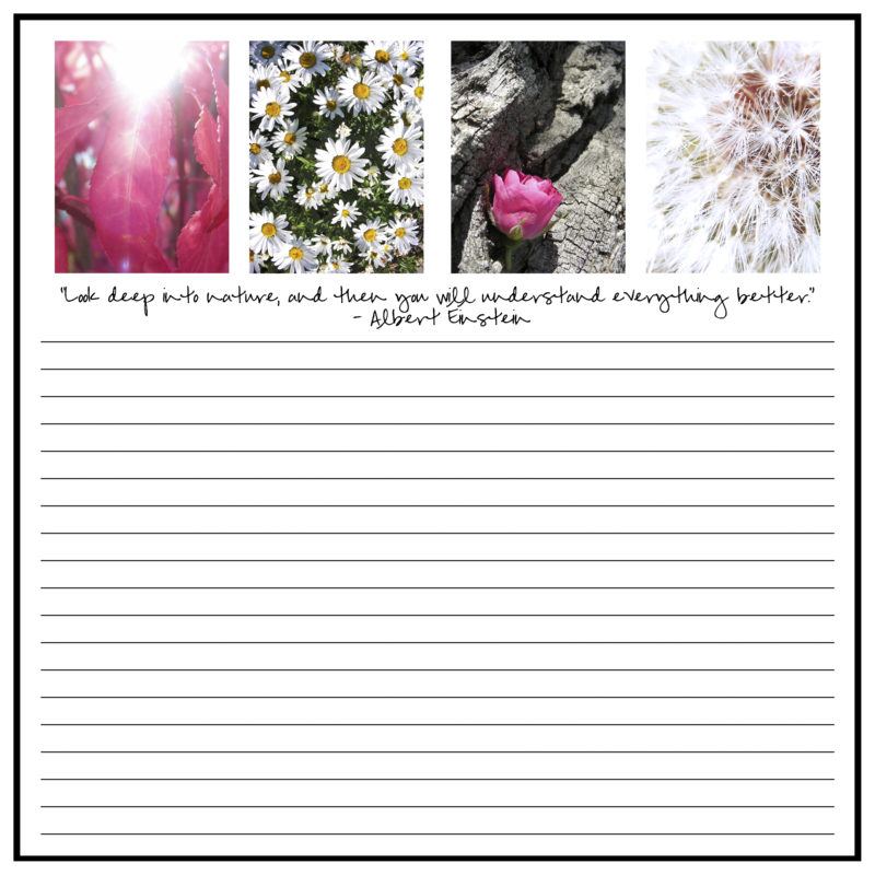 Sample Page Garden Journal V.2