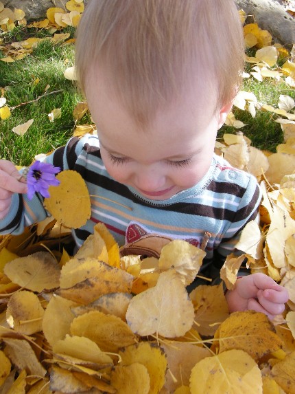 6.wee one in leaves